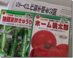 トマトの種蒔き
