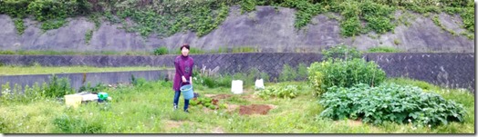 2016-05-29(1)