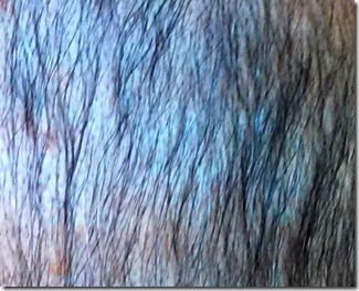 2016-09-10 17.27.19